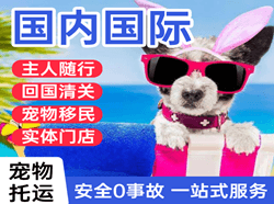 呼和浩特白塔空运地址国际宠物托运 【国